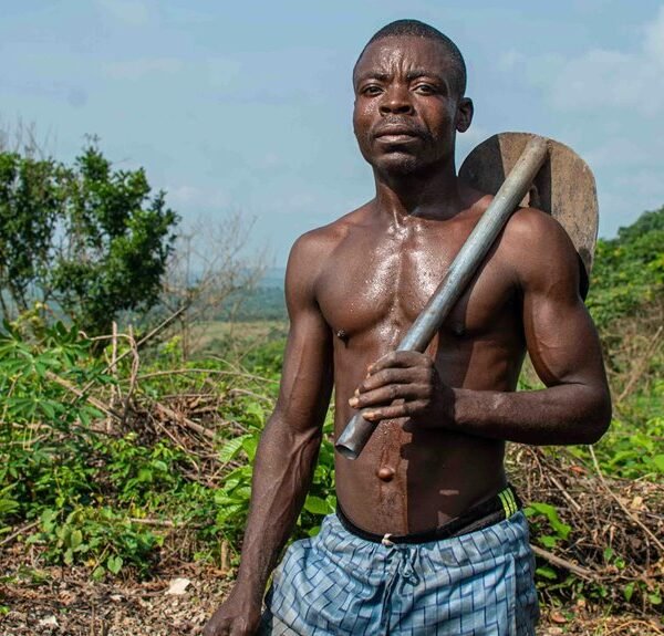 digital tools for growth