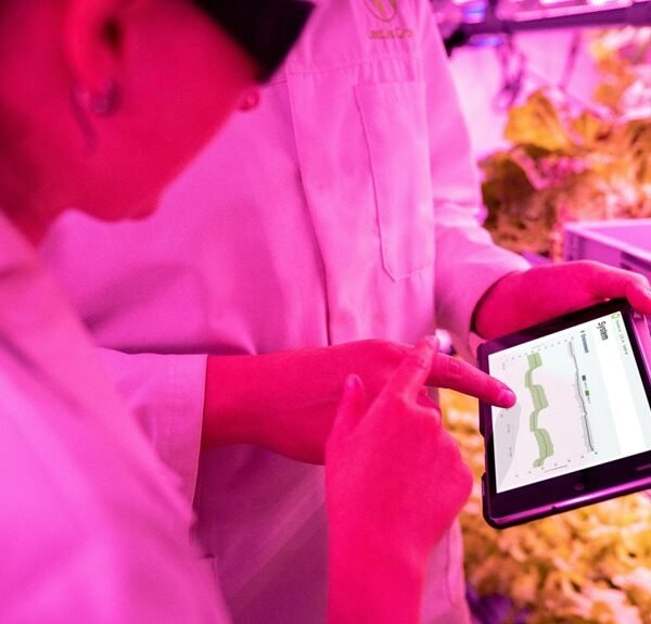 Strengthen Your Growth 120820448 Digital Tools