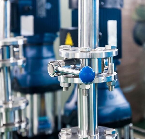 Develop Your Services 500781419 Online Efficiently